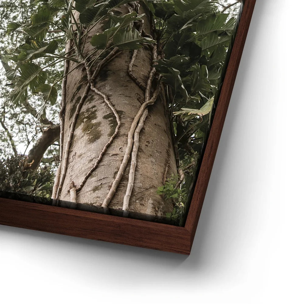 Featured image 14 for The Green Meets The Sky - Oahu, HI