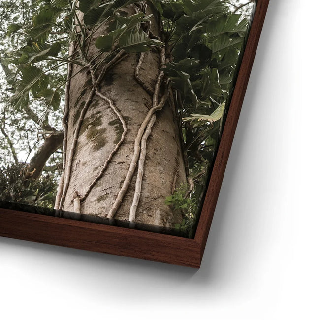 Featured image 14 for The Green Meets The Sky - Oahu, HI
