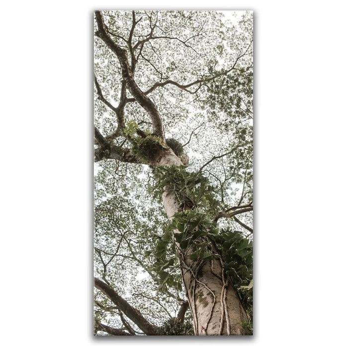 Featured image 1 for The Green Meets The Sky - Oahu, HI