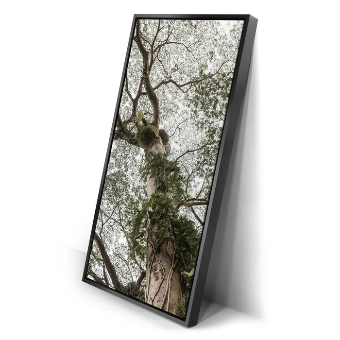 Featured image 2 for The Green Meets The Sky - Oahu, HI