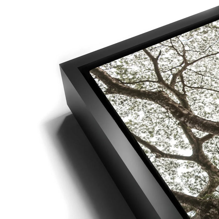 Featured image 11 for The Green Meets The Sky - Oahu, HI