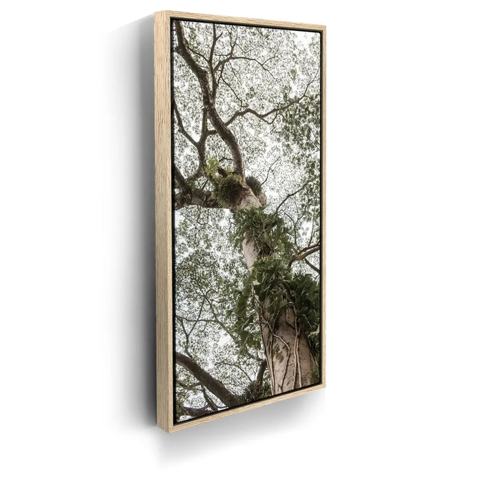 Featured image 9 for The Green Meets The Sky - Oahu, HI