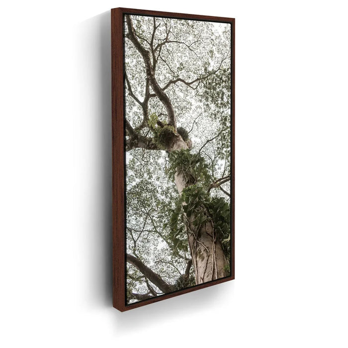 Featured image 10 for The Green Meets The Sky - Oahu, HI