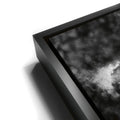 Thumbnail image 11 for The Legend - Black & White