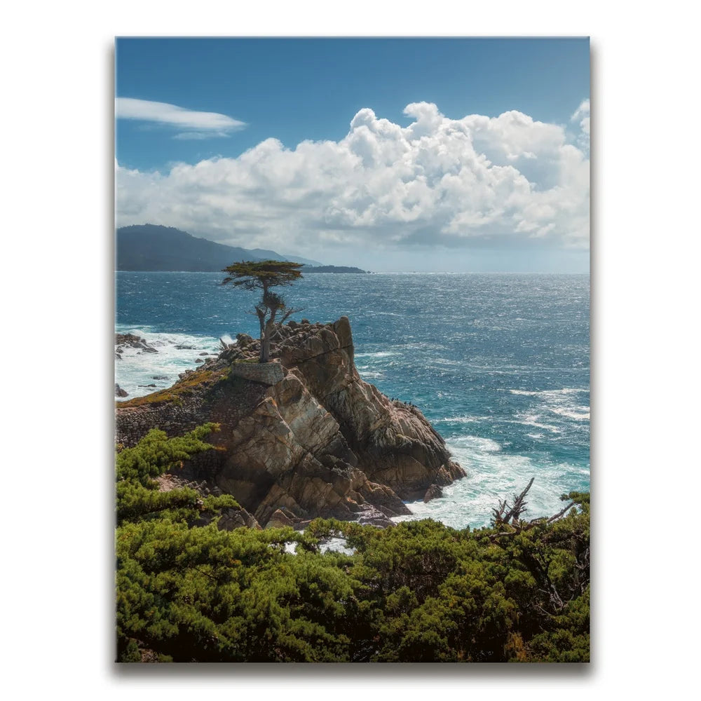 Featured image 1 for The Lone Cypress I - Carmel CA