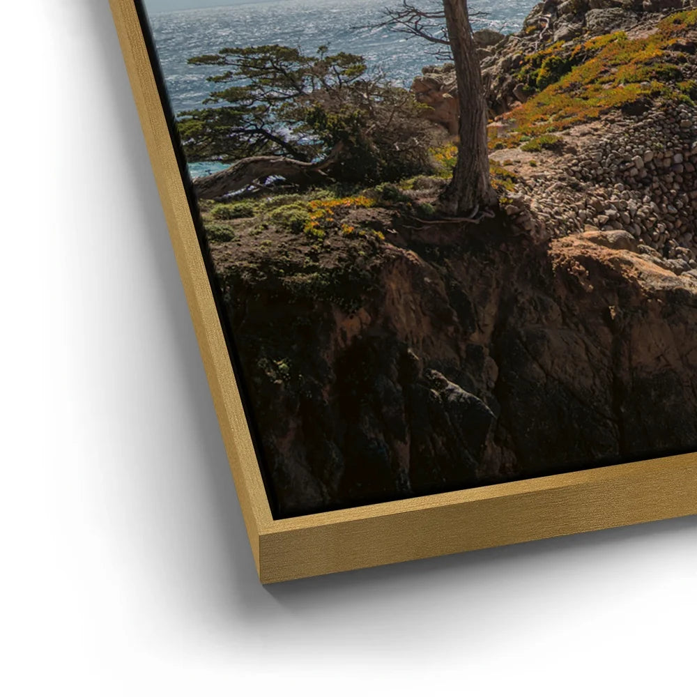 Featured image 12 for The Lone Cypress II - Carmel CA