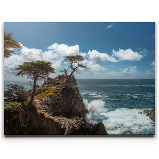The Lone Cypress II - Carmel CA