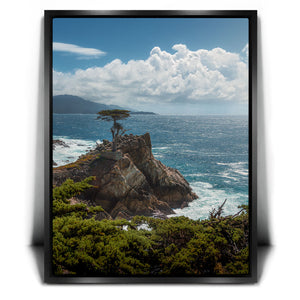 The Lone Cypress I - Carmel CA