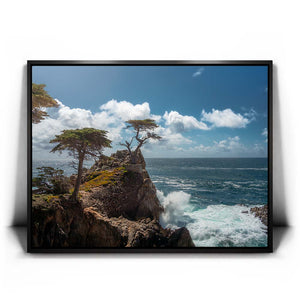 The Lone Cypress II - Carmel CA