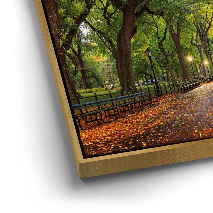 Featured image 12 for The Mall In Central Park In Autumn, Manhattan, New York City