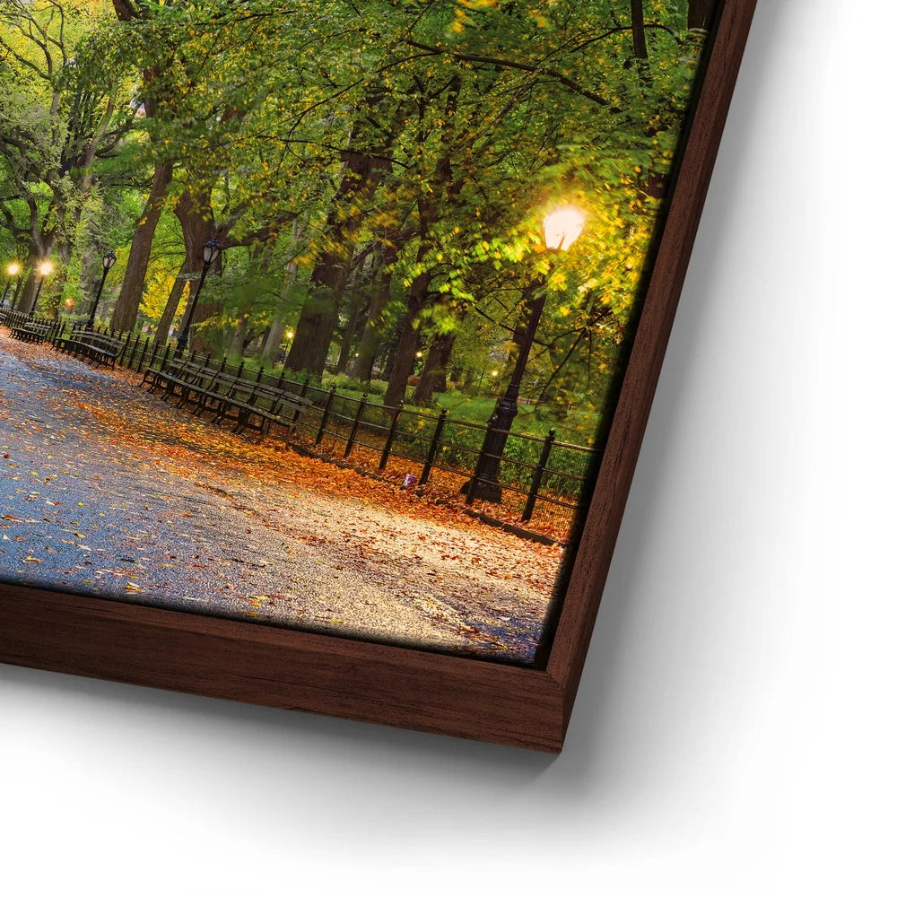 Featured image 14 for The Mall In Central Park In Autumn, Manhattan, New York City