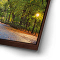 Thumbnail image 14 for The Mall In Central Park In Autumn, Manhattan, New York City