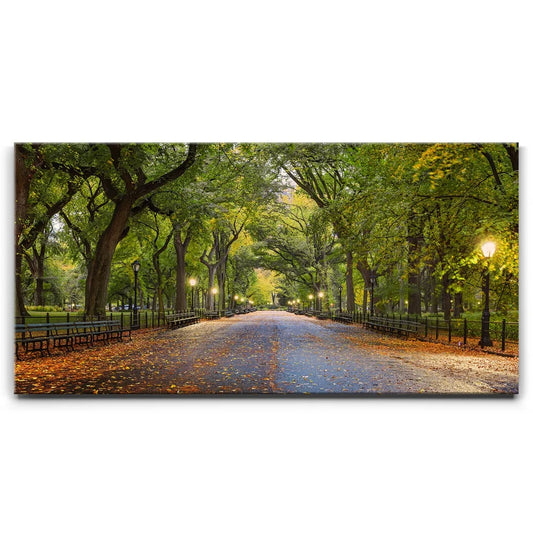 The Mall In Central Park In Autumn, Manhattan, New York City Posters, Prints, & Visual Artwork TheGoatWallArt LANDSCAPE - WIDE 30x15 0.75" STANDARD
