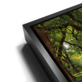 Thumbnail image 11 for The Mall In Central Park In Autumn, Manhattan, New York City
