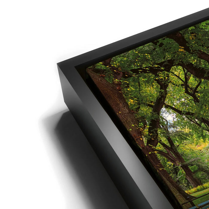 Featured image 11 for The Mall In Central Park In Autumn, Manhattan, New York City