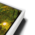 Thumbnail image 13 for The Mall In Central Park In Autumn, Manhattan, New York City