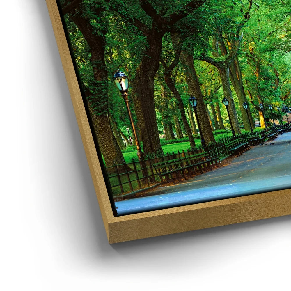 Featured image 12 for The Mall In Central Park, Manhattan, New York City