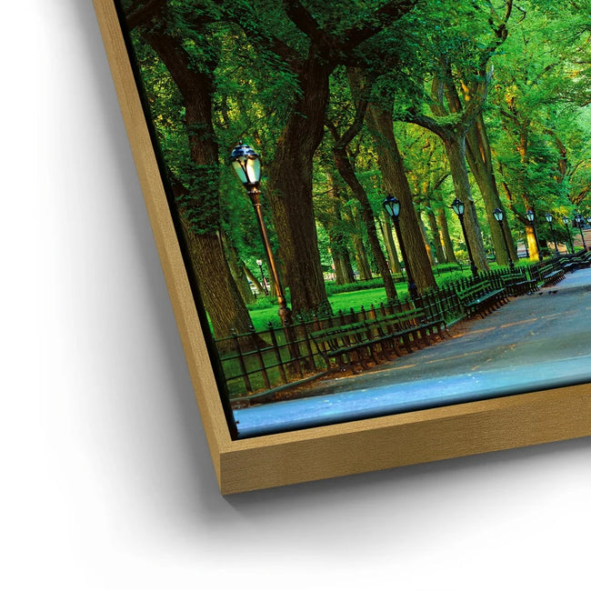 Featured image 12 for The Mall In Central Park, Manhattan, New York City