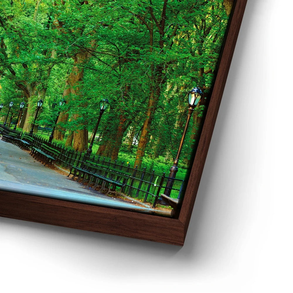 Featured image 14 for The Mall In Central Park, Manhattan, New York City