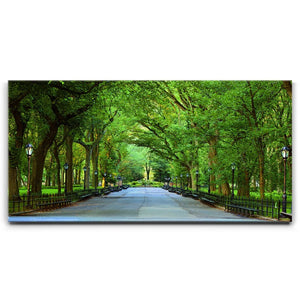 The Mall In Central Park, Manhattan, New York City