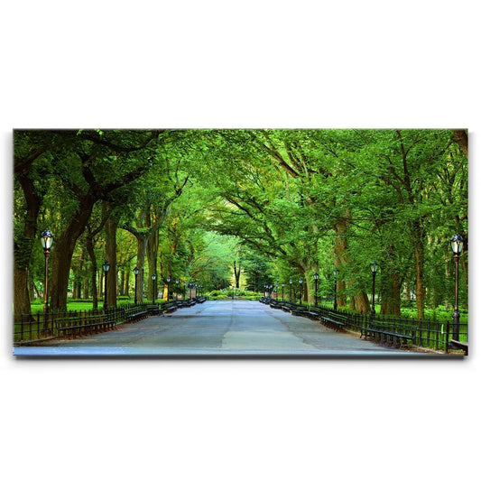 The Mall In Central Park, Manhattan, New York City Posters, Prints, & Visual Artwork TheGoatWallArt LANDSCAPE - WIDE 30x15 0.75" STANDARD