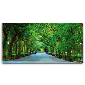 The Mall In Central Park, Manhattan, New York City