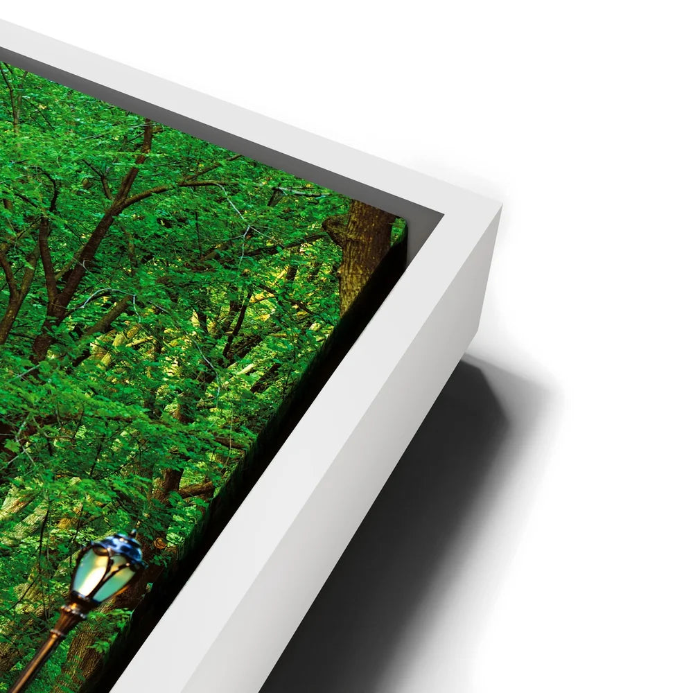 Featured image 13 for The Mall In Central Park, Manhattan, New York City