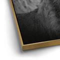 Thumbnail image 12 for The Mane Event