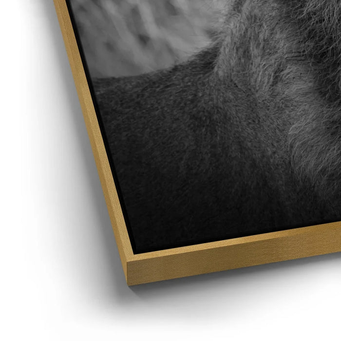 Featured image 12 for The Mane Event