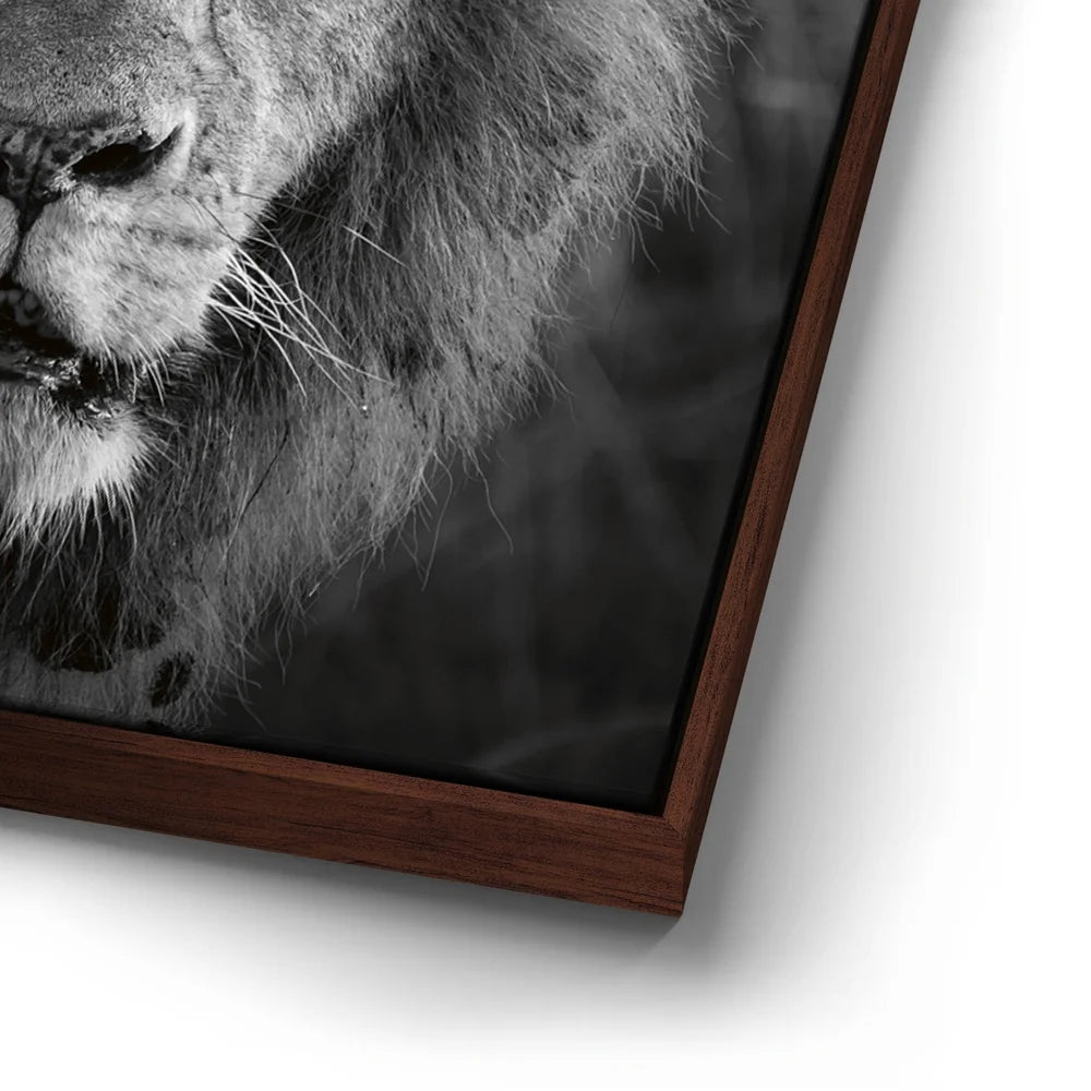 Featured image 14 for The Mane Event
