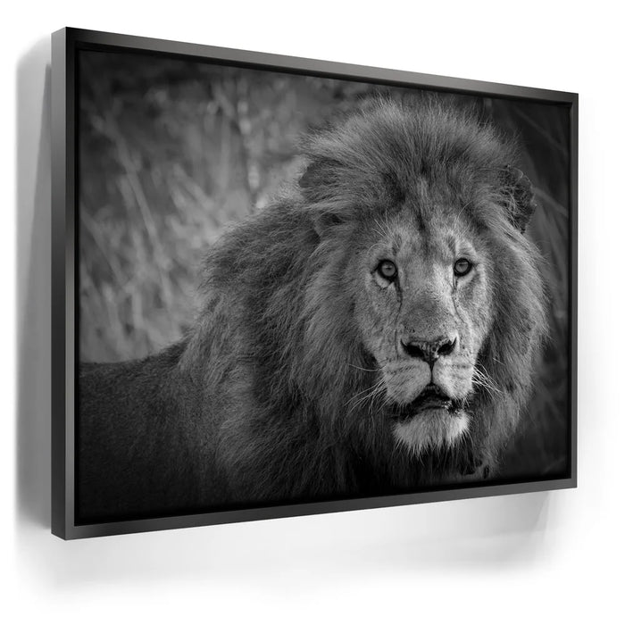 Featured image 5 for The Mane Event