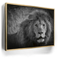 Featured image 7 for The Mane Event
