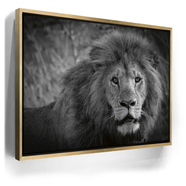Featured image 7 for The Mane Event