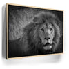 Featured image 9 for The Mane Event