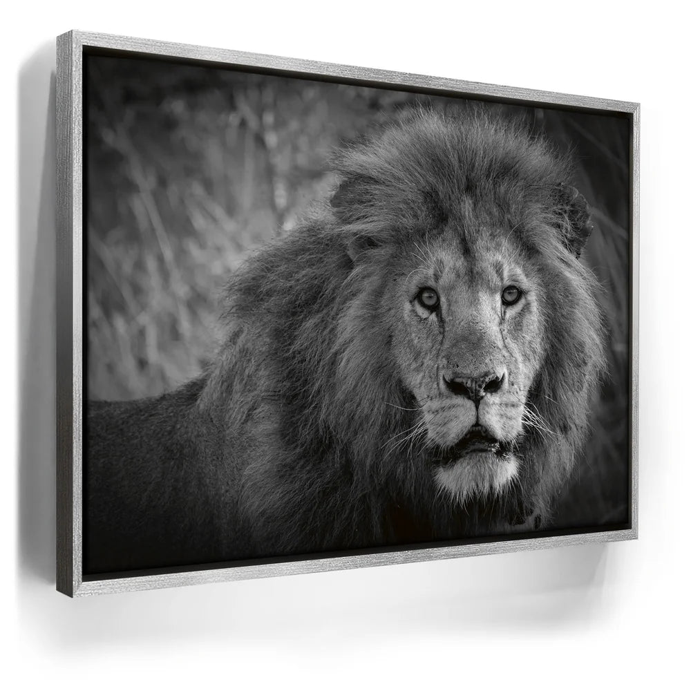 Featured image 8 for The Mane Event