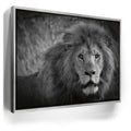 Featured image 8 for The Mane Event