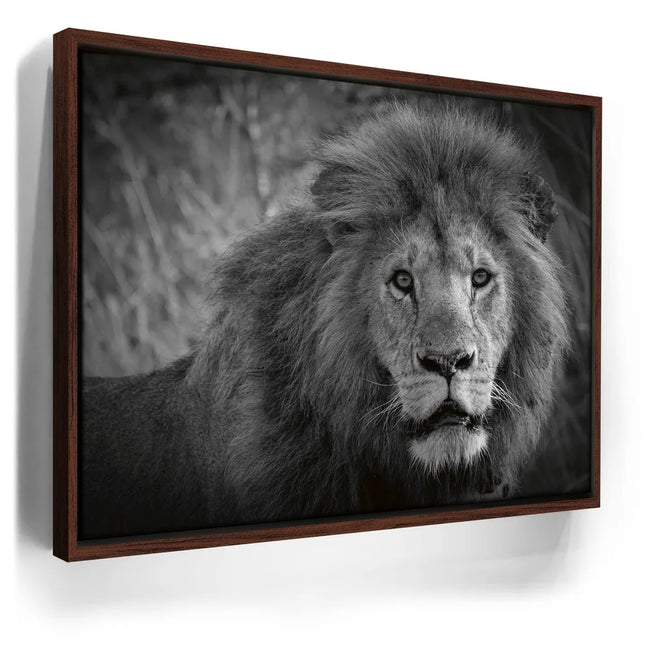 Featured image 10 for The Mane Event