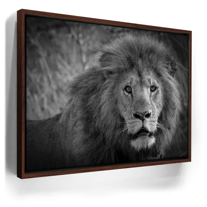 Featured image 10 for The Mane Event