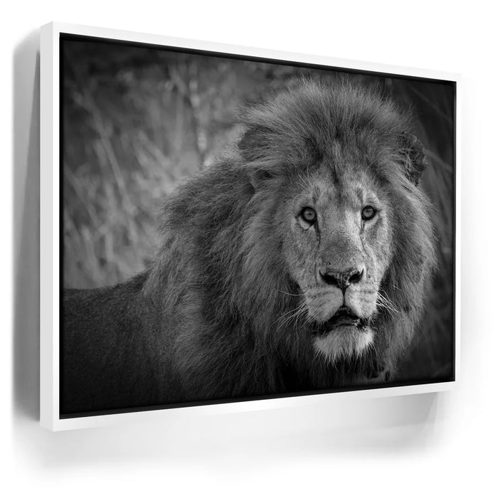 Featured image 6 for The Mane Event