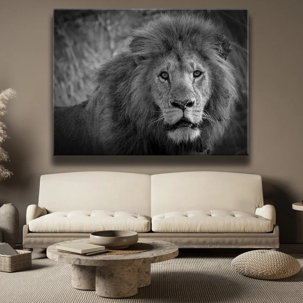 Featured image 2 for The Mane Event