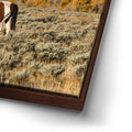 Thumbnail image 14 for The Munchies