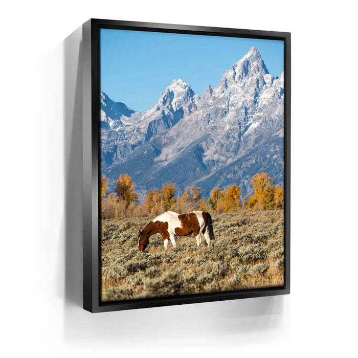 Featured image 5 for The Munchies