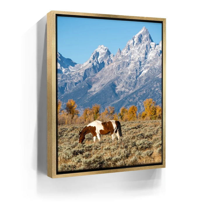 Featured image 7 for The Munchies