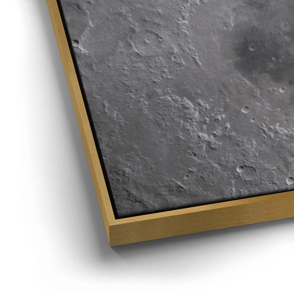 Featured image 12 for The Orientale Basin