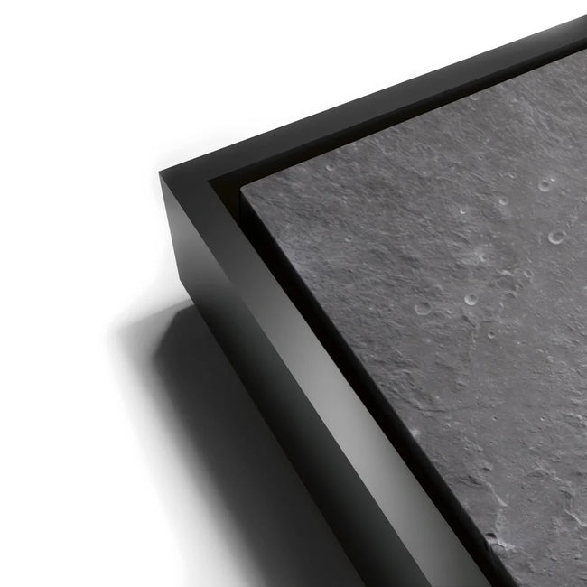 Featured image 11 for The Orientale Basin