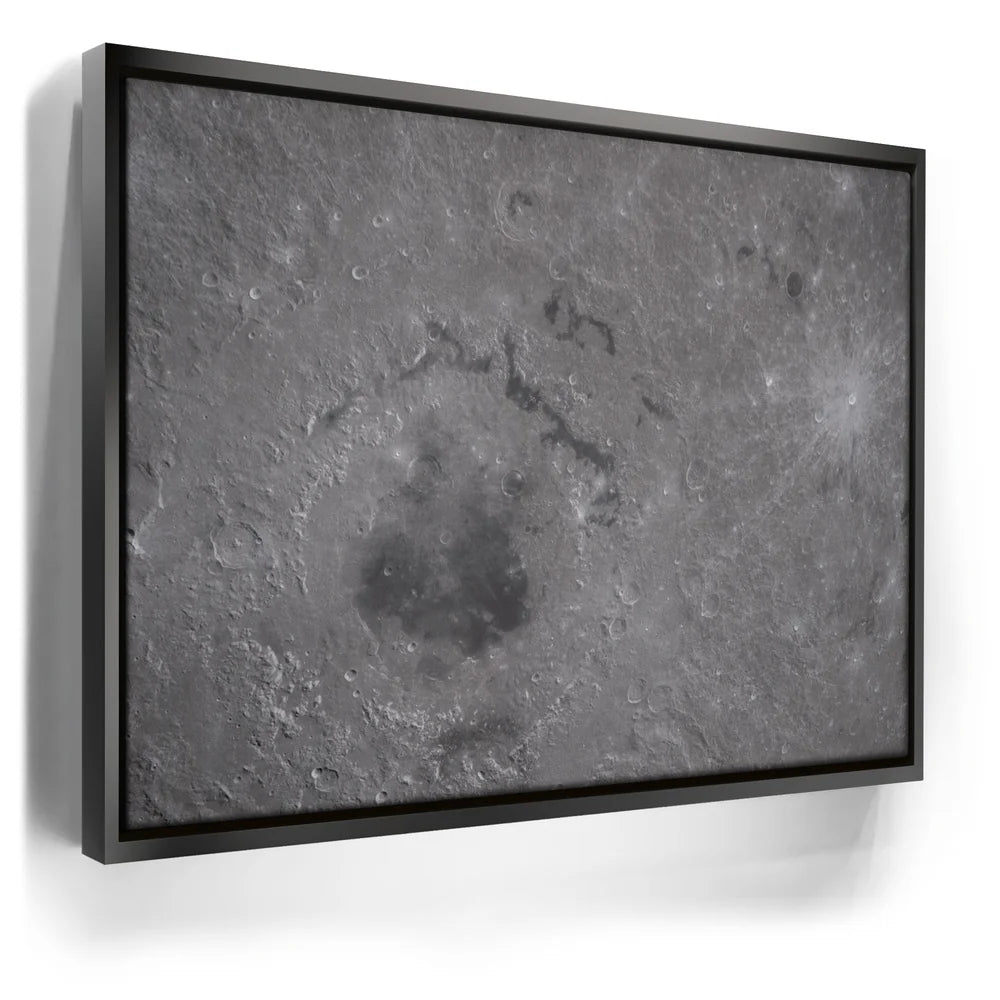 Featured image 5 for The Orientale Basin