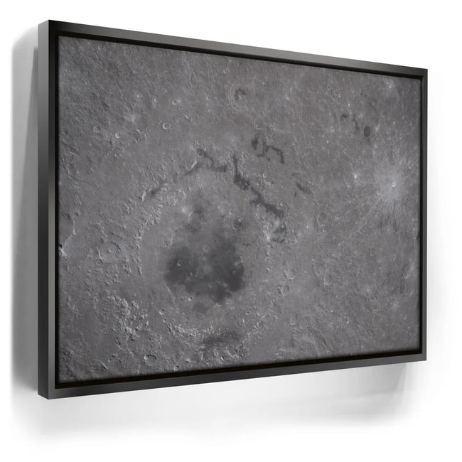 Featured image 5 for The Orientale Basin
