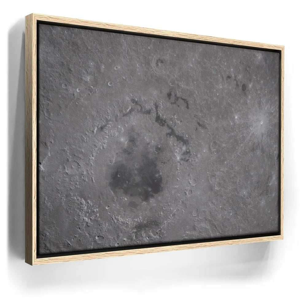 Featured image 9 for The Orientale Basin
