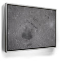 Featured image 8 for The Orientale Basin