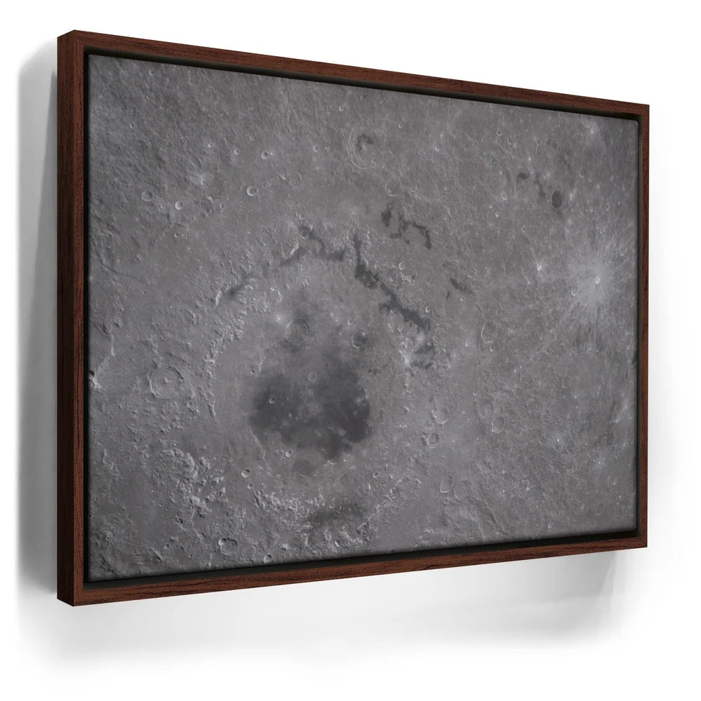 Featured image 10 for The Orientale Basin